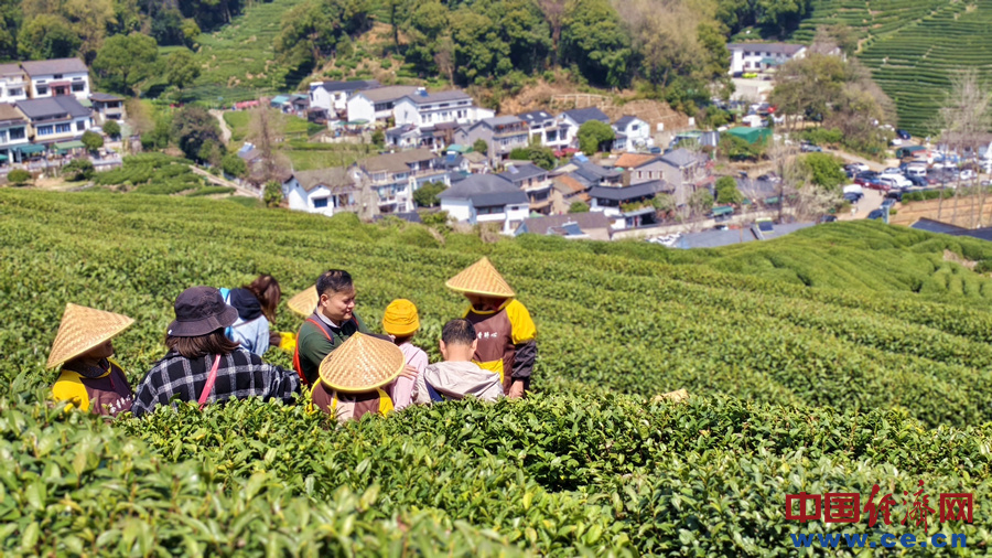 IMG_20250322_123901_副本.jpg
