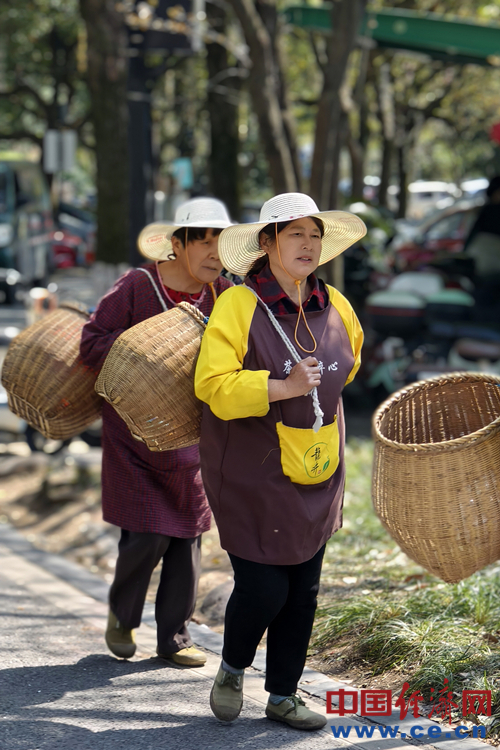 IMG_20250322_121425_副本_副本.jpg