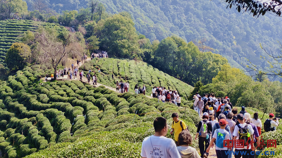 IMG_20250322_135206_副本.jpg