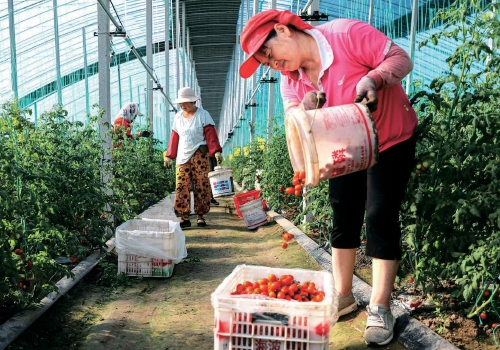 山海之城如何做好“共富攻略”