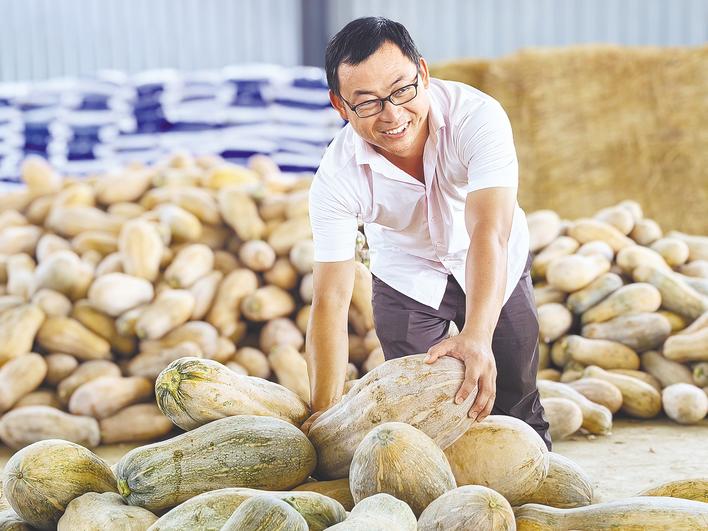 让甘蓝身价每斤涨两成