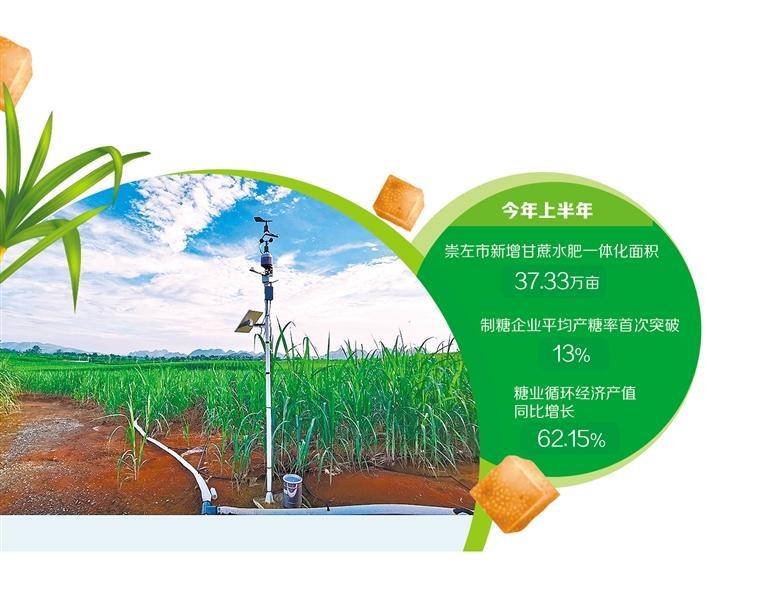 广西崇左深耕“甜蜜”产业链