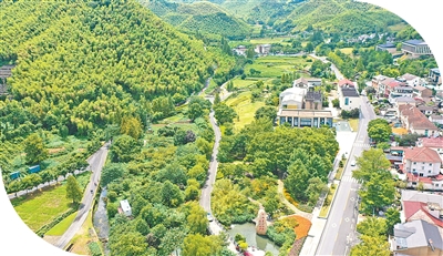 余村潘家兄弟二十年
