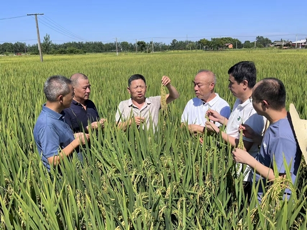 耕地调酸新科技“出招” 助力优质农产品“丰收满仓”