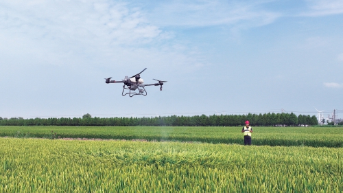 唤醒荒滩地　打造丰产田