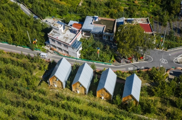 秋分时节果飘香 格桑花伴丰收乐——2025年小金县庆丰收暨苹果采摘季活动背后的产业振兴密码