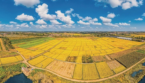 “北粮南运”为何能更畅通?