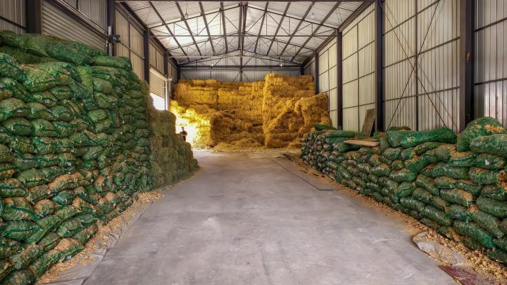 新津小金协作共绘振兴图景 双向发力激活高原发展新动能