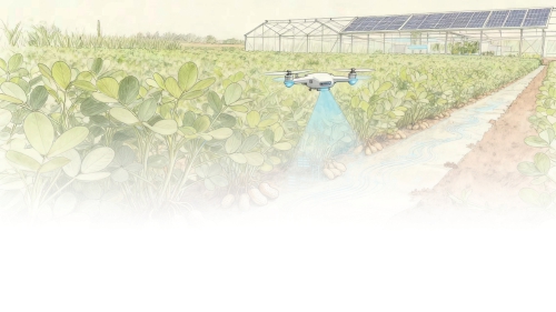 科技释能让花生产业“一路生花”