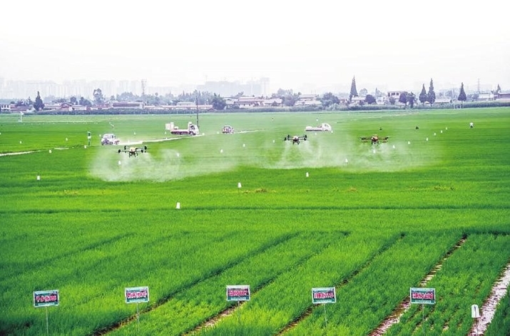 四川彭山:四年砥砺前行书写粮丰、业兴、民富新答卷(图1)